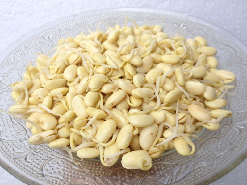 Mầm đậu nành